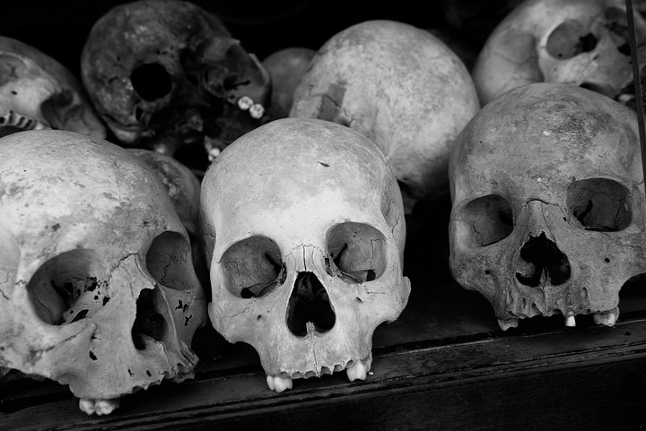 Killing Fields - Skulls