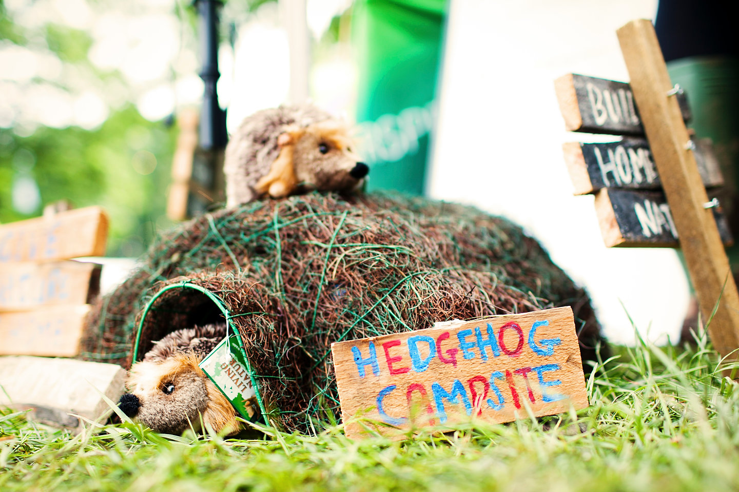 Hedgehog Campsite