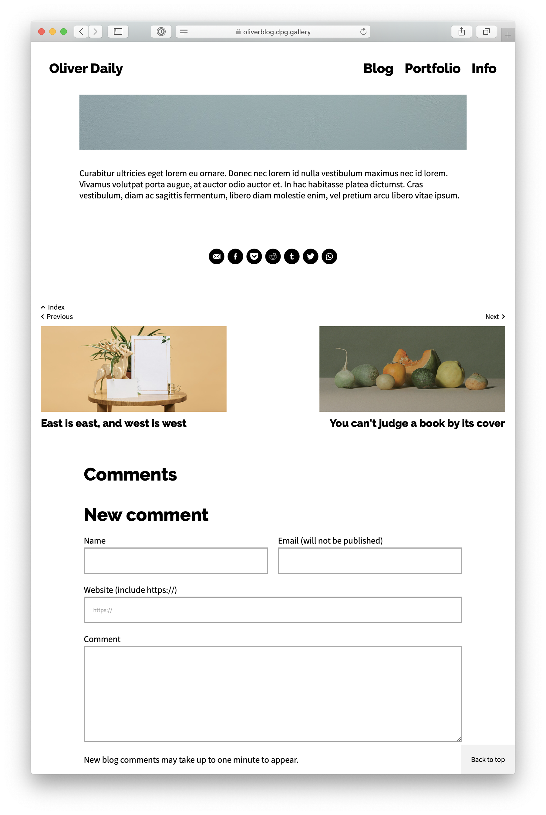 Screenshot of a website showing the new Dedicated Blog template in post view, with post navigation and comments