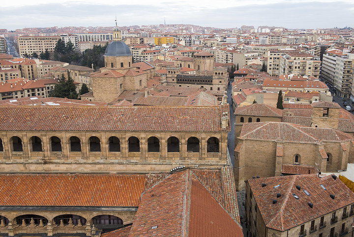 Salamanca from Scala Coeli